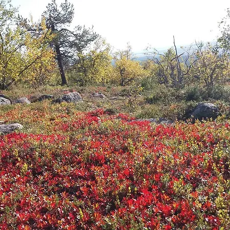 Ranta Aeaerelae * Vuotso