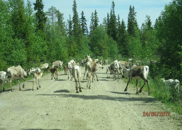 Ranta Aeaerelae Domek alpejski *