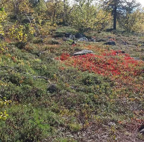 Domek alpejski Ranta Aeaerelae