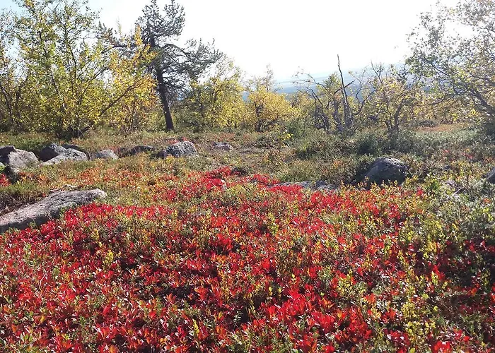 Ranta Aeaerelae * Vuotso